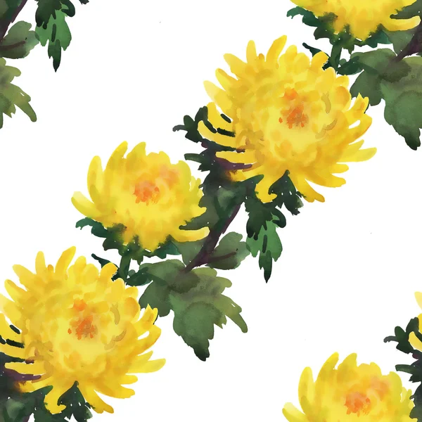 Żółte chryzantemy kwiatów wzór — Zdjęcie stockowe