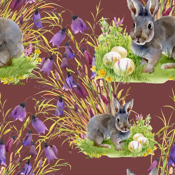 Hare with Easter eggs — Stock Photo, Image