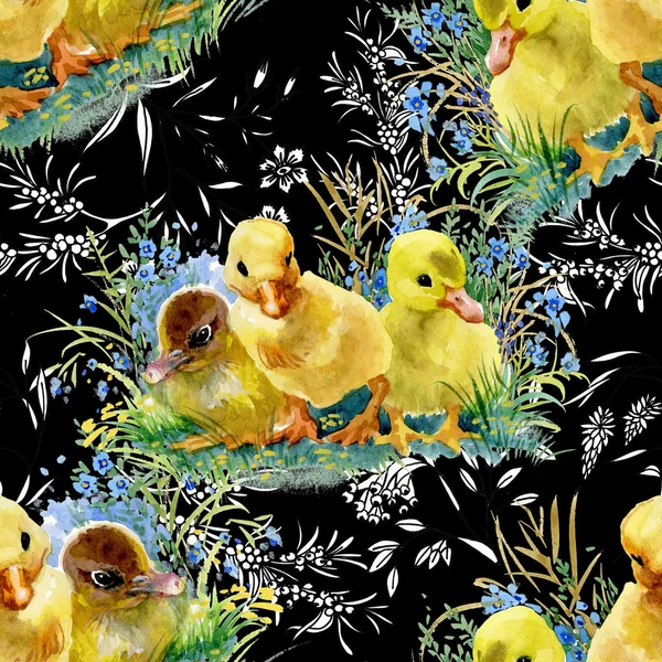 Cute watercolor ducklings — Stock Photo, Image