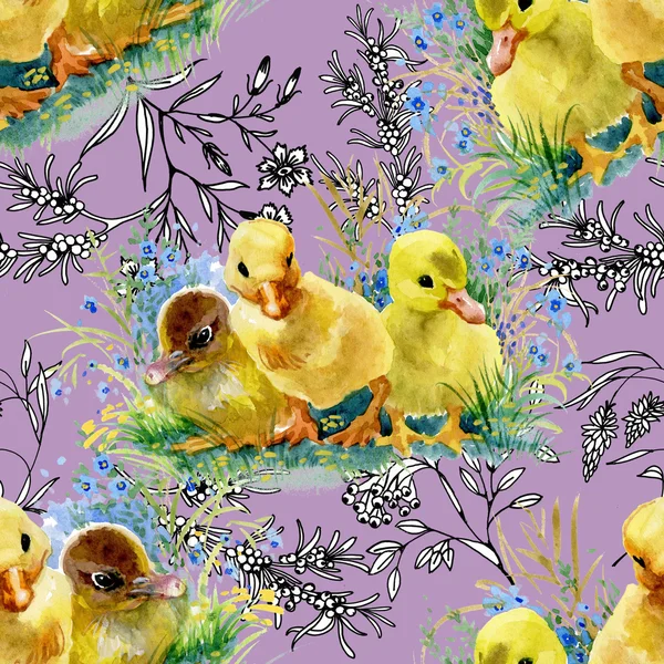 可爱的水彩小鸭 — 图库照片