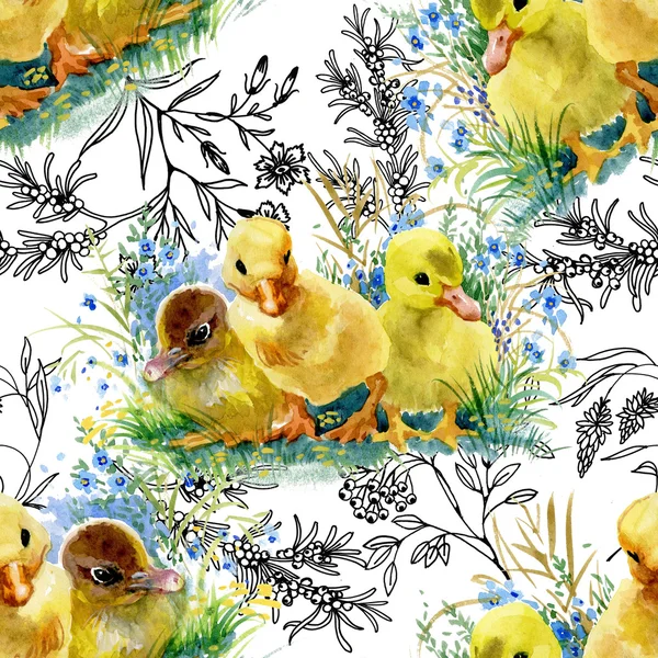 Cute watercolor ducklings — Stock Photo, Image