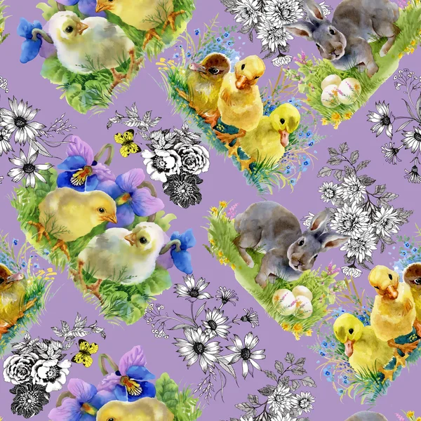 Watercolor ducklings, chickens and hares — Stock Photo, Image