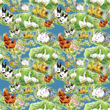 Suluboya ördek yavrusu, tavuk ve yabani tavşan