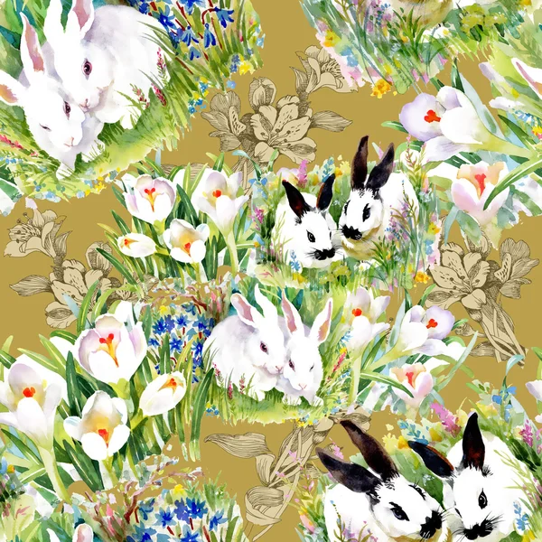 Modèle de lapins aquarelle — Photo