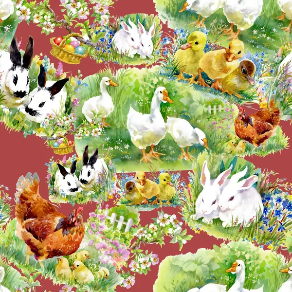 수채화 ducklings, 닭과 토끼 — 스톡 사진
