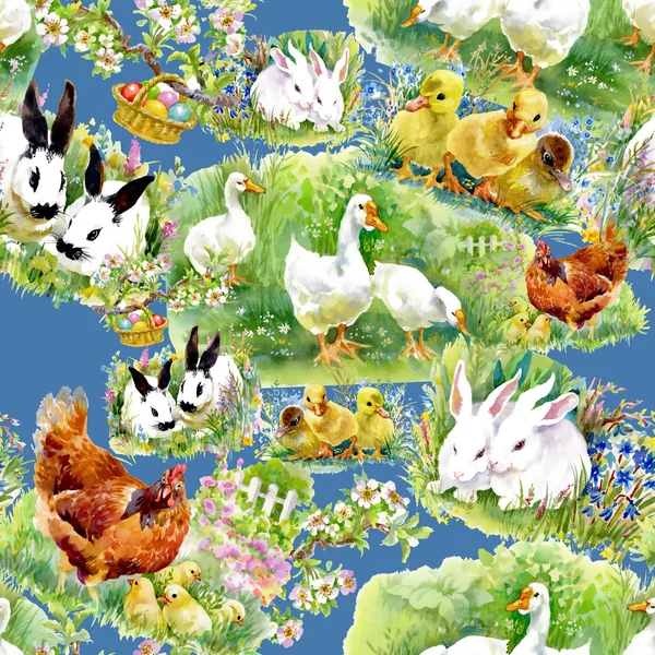 Watercolor ducklings, chickens and hares — Stock Photo, Image