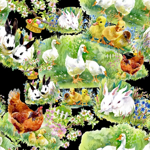 Watercolor ducklings, chickens and hares — Stock Photo, Image