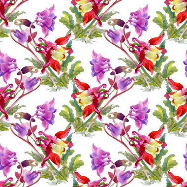 Renkli kır çiçekleri desen