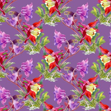 Renkli kır çiçekleri desen