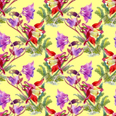 Renkli kır çiçekleri desen