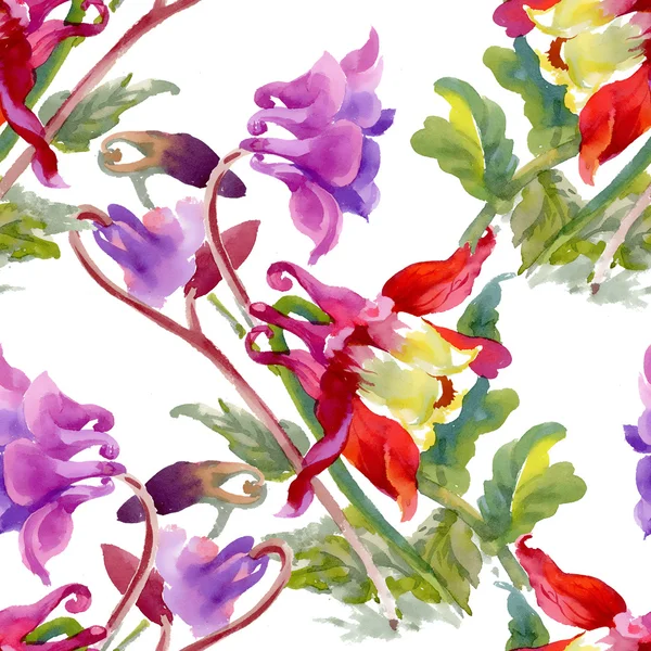 Colorful wildflowers pattern — Stock Photo, Image