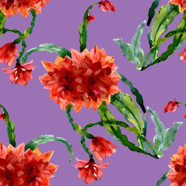 Renkli kır çiçekleri desen — Stok fotoğraf