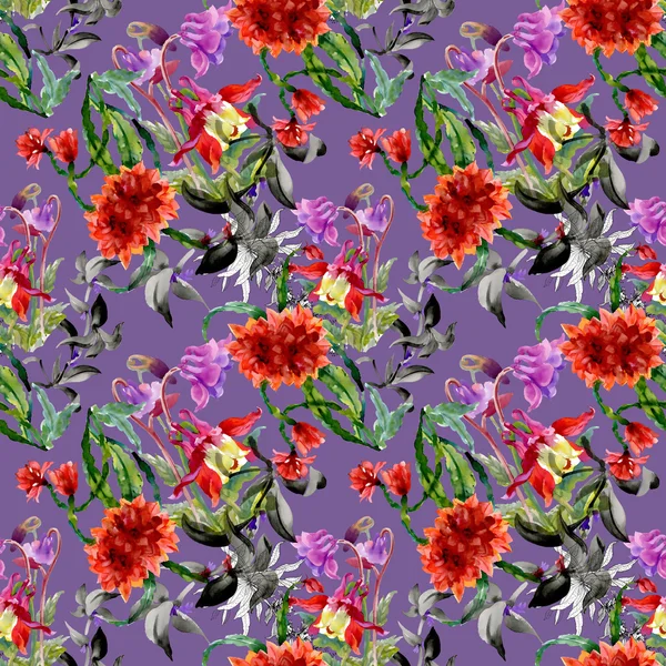 Kleurrijke wildflowers patroon — Stockfoto