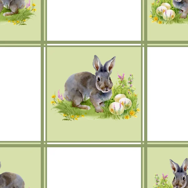 부활절 달걀과 토끼 — 스톡 사진
