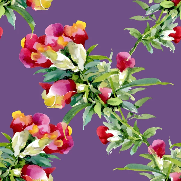 Барвисті польових квітів візерунком — стокове фото