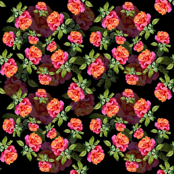 Roses seamless pattern — Stock Photo, Image