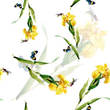 Suluboya Iris çiçek deseni