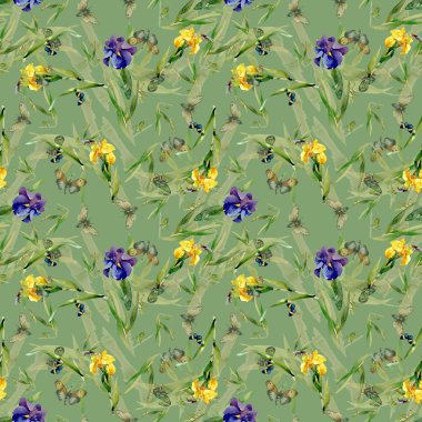 Suluboya Iris çiçek deseni