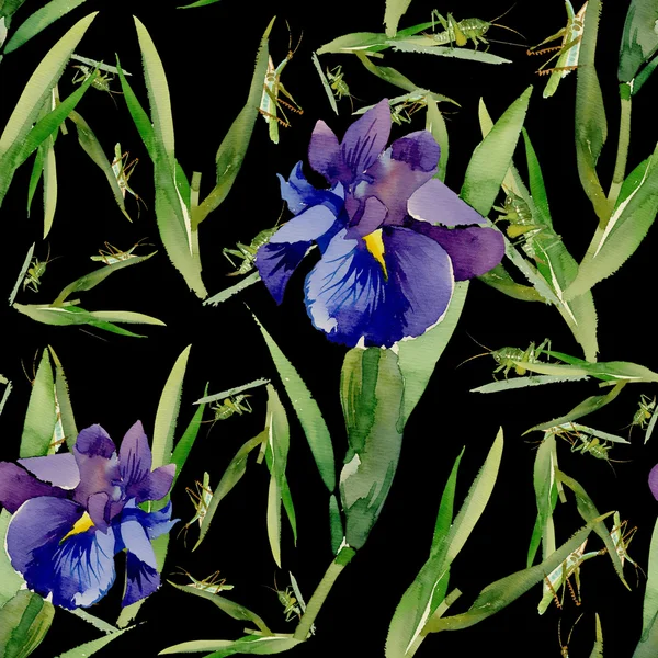 バッタと庭のアイリスの花 — ストック写真