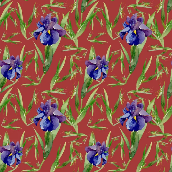Zahradní iris květiny s kobylky — Stock fotografie