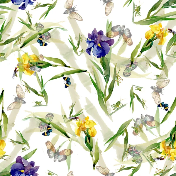 Aquarelle iris motif de fleurs — Photo