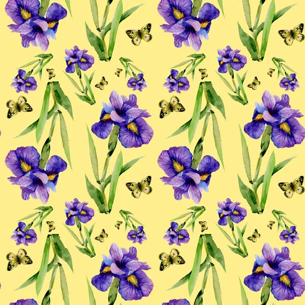 Kwiaty niebieskie tęczówki z motylami — Zdjęcie stockowe