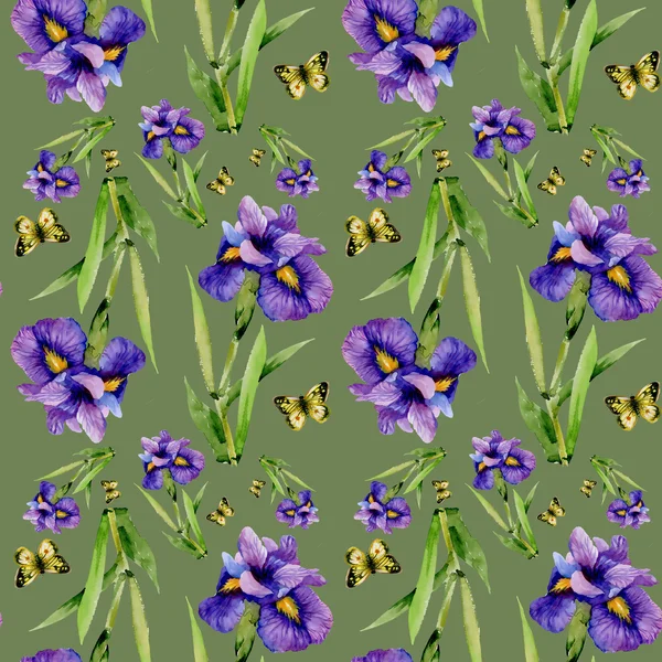 Blue iris flowers with butterflies — Stock Photo, Image