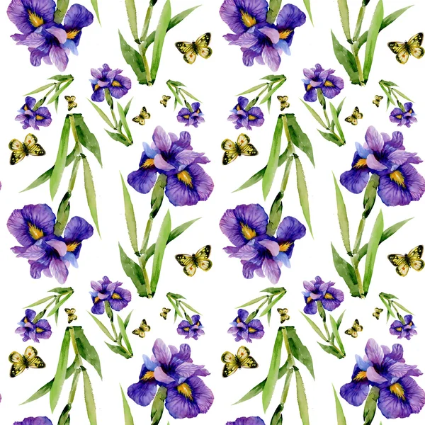 Blue iris flowers with butterflies — Stock Photo, Image