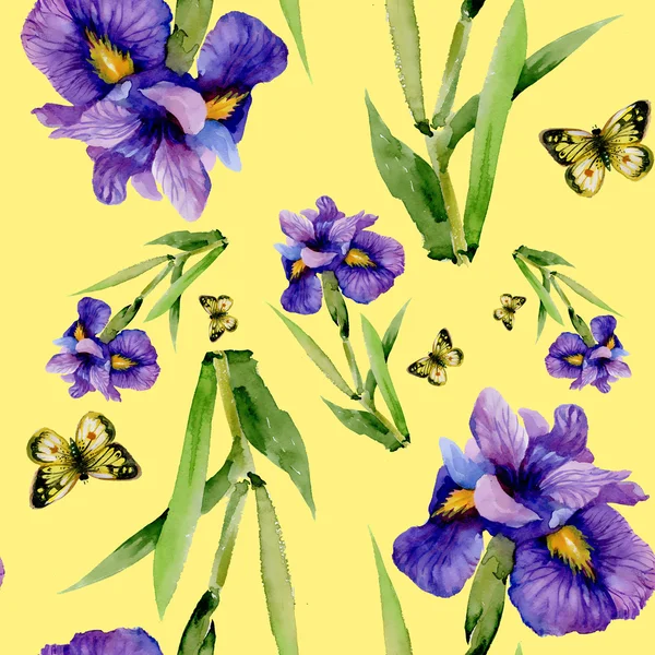 Fiori di iris blu con farfalle — Foto Stock