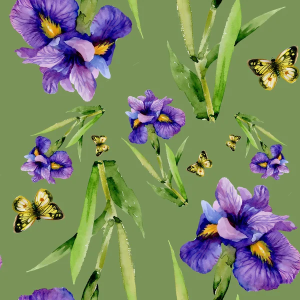 Blue iris květy s motýly — Stock fotografie