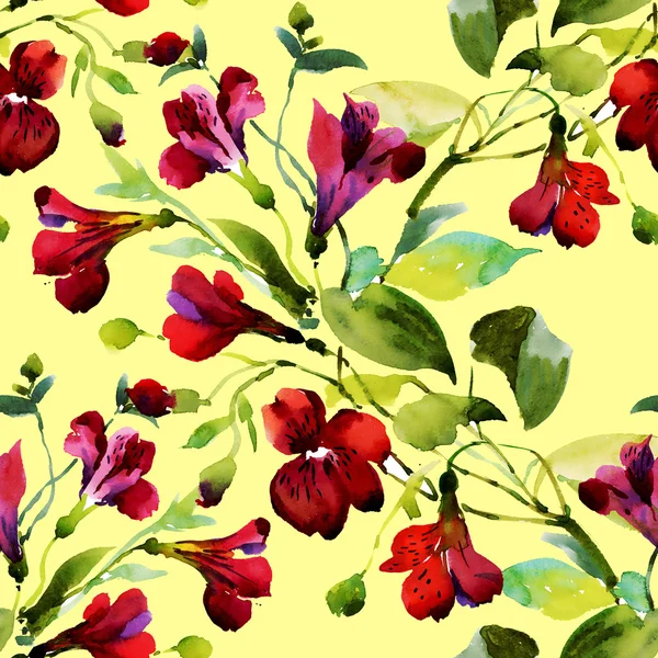Садові квітковий візерунок — стокове фото