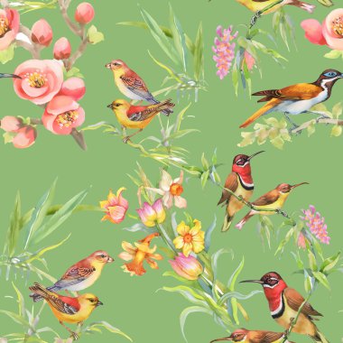 yabani kuşlar ve çiçekler