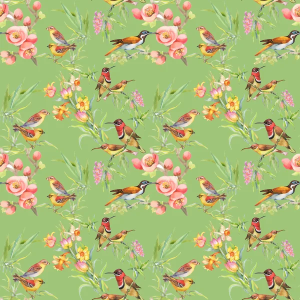 Vilda fåglar och blommor — Stockfoto