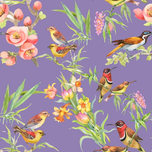 Vadon élő madarak és virágok — Stock Fotó
