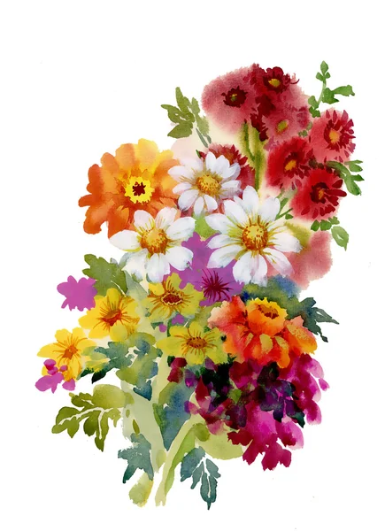 Trädgård sommarblommor — Stockfoto