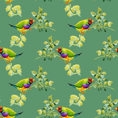 Bahçe çiçek dal kuşlarda