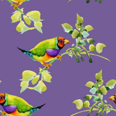 Bahçe çiçek dal kuşlarda