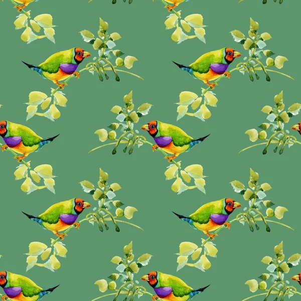 Birds on garden floral twigs — Stock Photo, Image