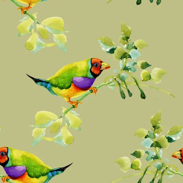 Birds on garden floral twigs — Stock Photo, Image