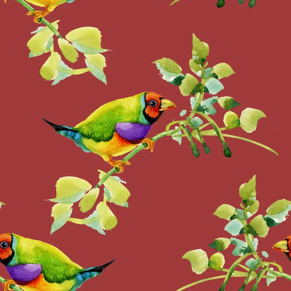 Pássaros no jardim galhos florais — Fotografia de Stock