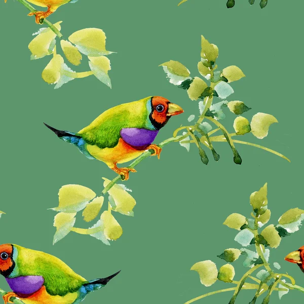 Birds on garden floral twigs — Stock Photo, Image