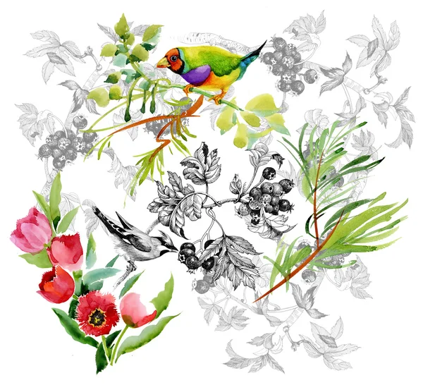 Pássaros com flores de jardim — Fotografia de Stock