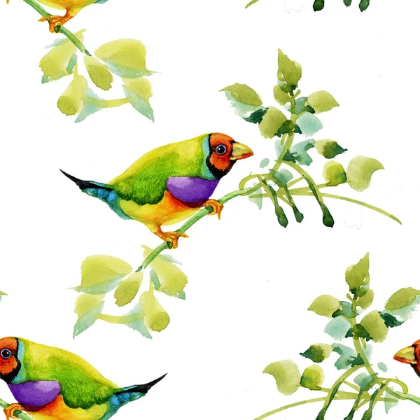 Birds on garden floral twigs — Stock Image Birds on garden floral twigs Royalty Free Stock Photos
