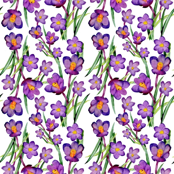 Garden crocus floral pattern — Stock Photo, Image