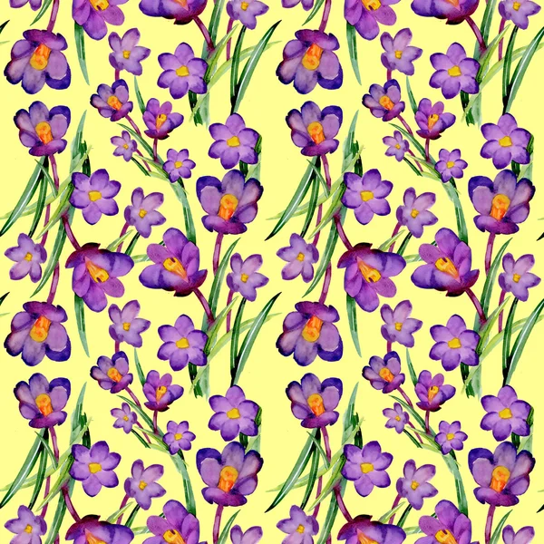 Jardim crocus padrão floral — Fotografia de Stock