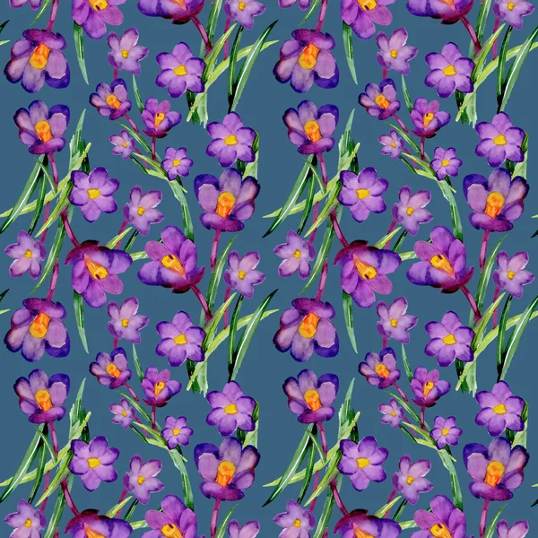 Wzór kwiatowy ogród krokus — Zdjęcie stockowe