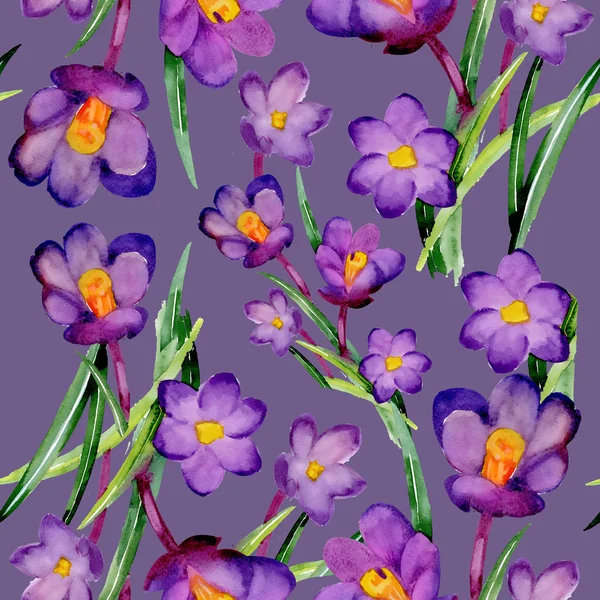 Jardín crocus patrón floral — Foto de Stock