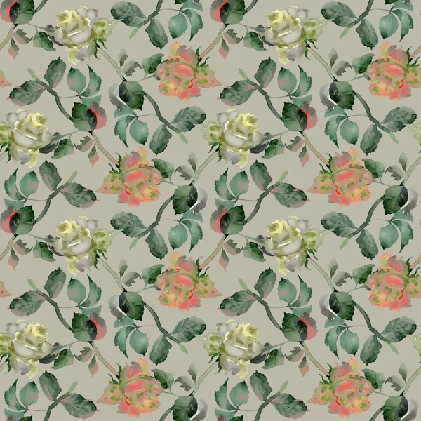 Tea Roses pattern — Stock Photo, Image