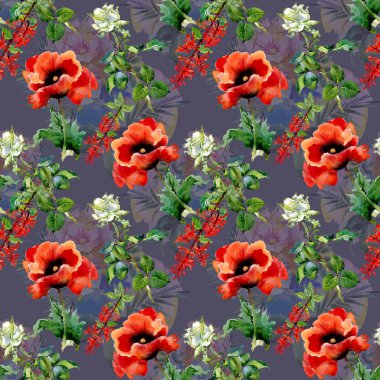 haşhaş kırmızı çiçekler