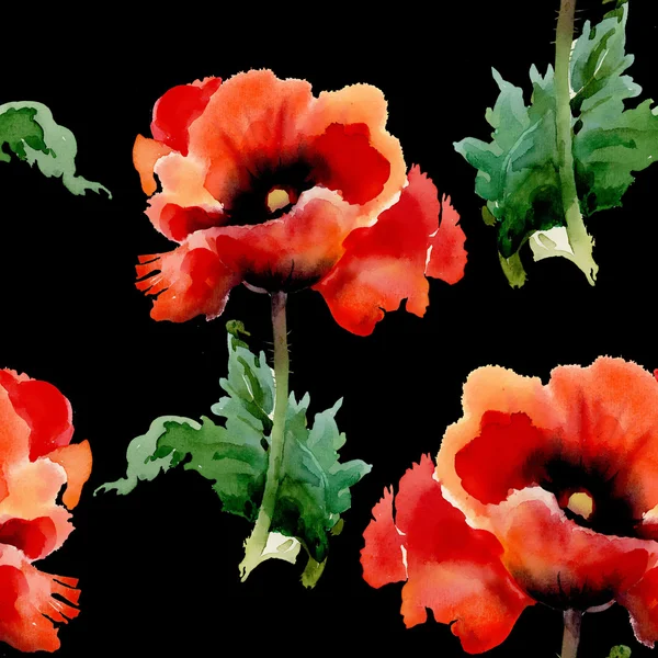 Red poppies flowers — Stock Photo, Image